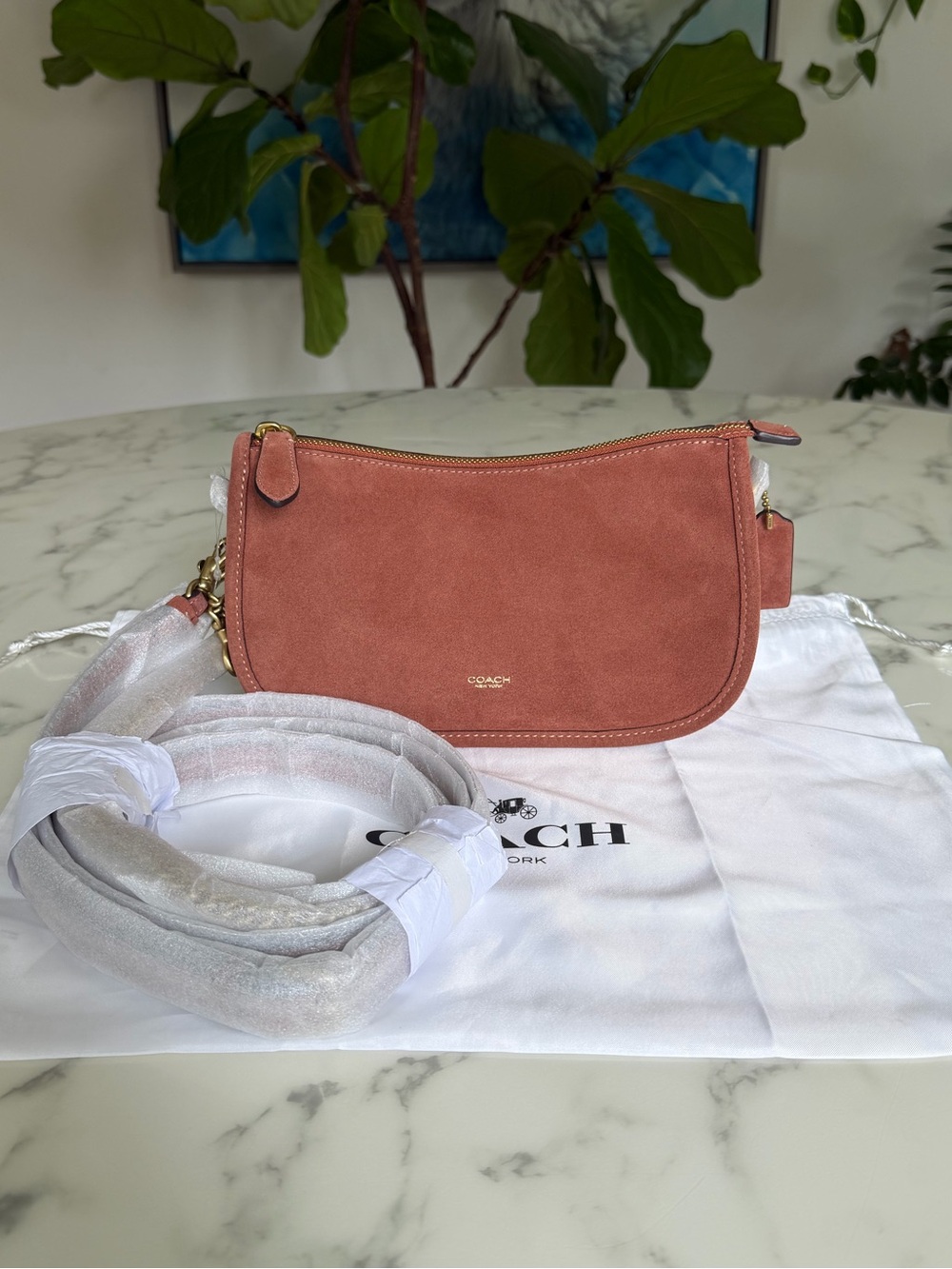 NWT Coach Waverly Bag Brass / Clay Suede Crossbody Shoulder Bag CDD78 - Picture 1 of 14